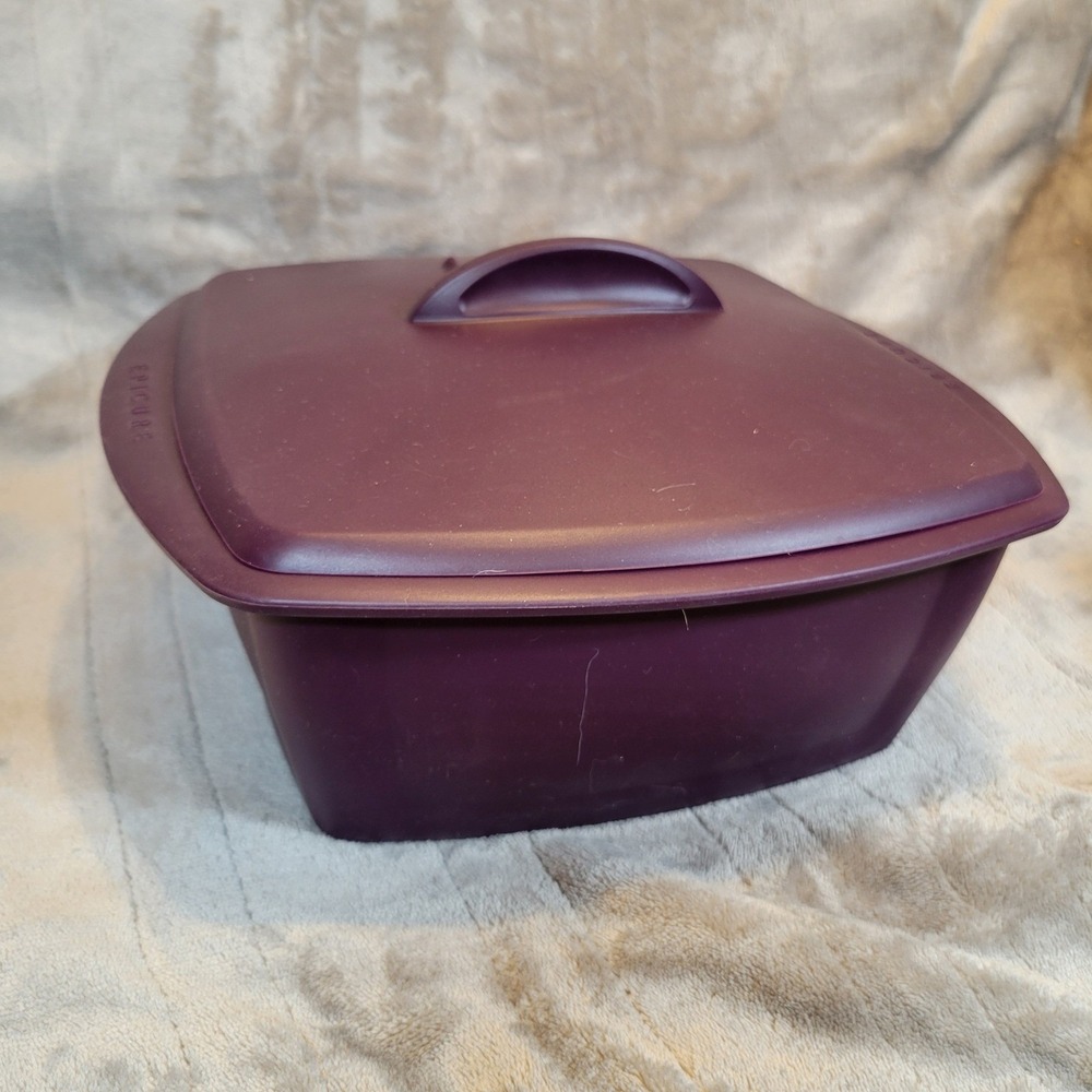 Epicure Multipurpose Steamer Silicone Microwave Oven Cookware Purple‎ Lg Square